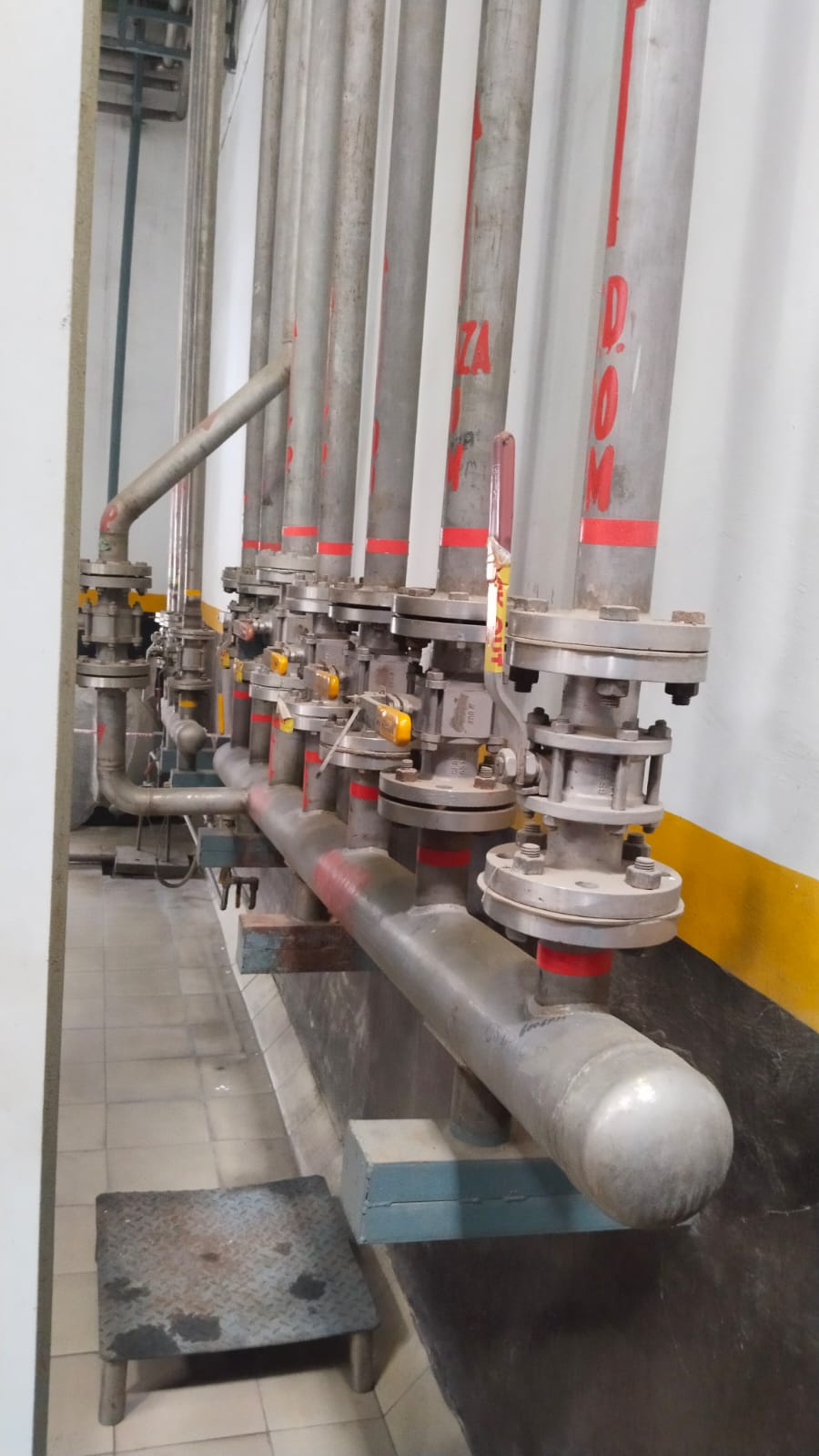 SS header with flanged valves